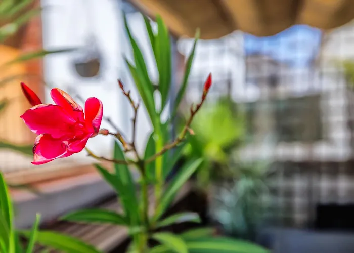 Luxury Family Córdoba