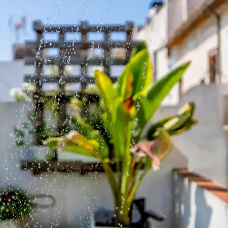 度假居 Luxury Family