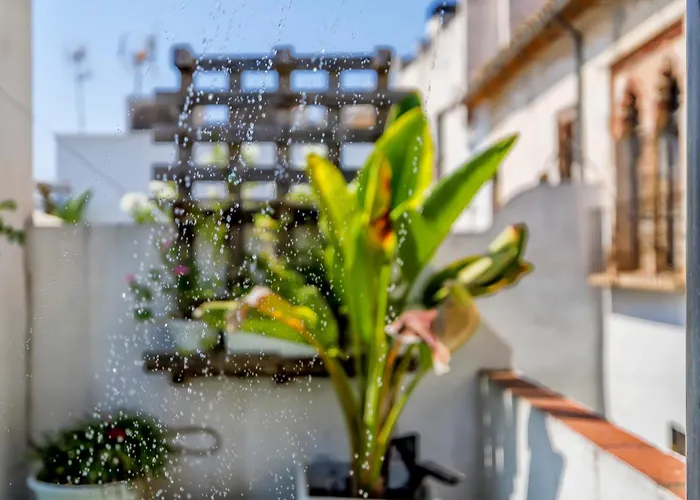 度假居 Luxury Family