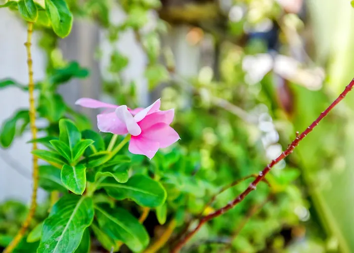 度假居 Luxury Family 科爾多瓦